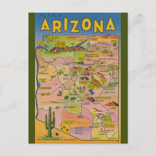  Arizona Map en Cactus Briefkaart (Voorkant)