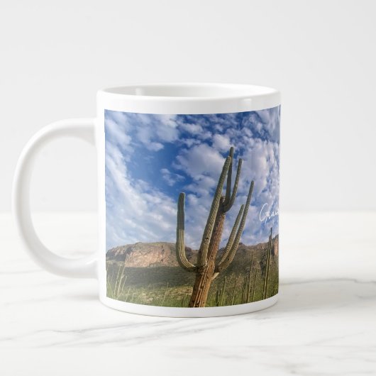 Arizona Mok (Links)