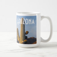 Arizona - Mok Sunlit Saguaro