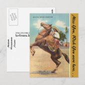 Arizona, mooie Mexicaanse paardenvrouw Briefkaart (Voorkant / Achterkant)