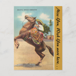 Arizona, mooie Mexicaanse paardenvrouw Briefkaart