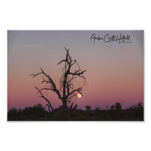Arizona Moon Foto Afdruk (Voorkant)