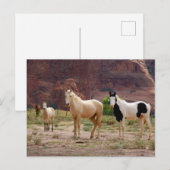 Arizona, Navajo Indian Reservation, Chinle Briefkaart (Voorkant / Achterkant)