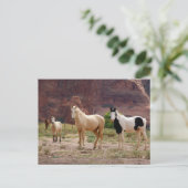 Arizona, Navajo Indian Reservation, Chinle Briefkaart (Staand voorkant)