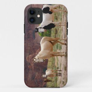 Arizona, Navajo Indian Reservation, Chinle Case-Mate iPhone Case