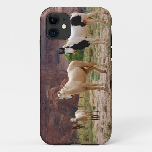 Arizona, Navajo Indian Reservation, Chinle Case-Mate iPhone Case (Achterkant)