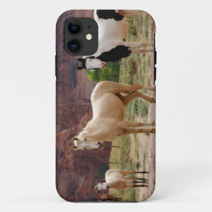 Arizona, Navajo Indian Reservation, Chinle, iPhone 11 Hoesje