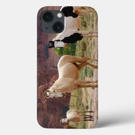 Arizona, Navajo Indian Reservation, Chinle Case-Mate iPhone Case (Achterkant)