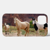 Arizona, Navajo Indian Reservation, Chinle Case-Mate iPhone Case (Achterkant (horizontaal))