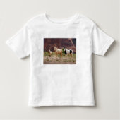 Arizona, Navajo Indian Reservation, Chinle Kinder Shirts (Voorkant)