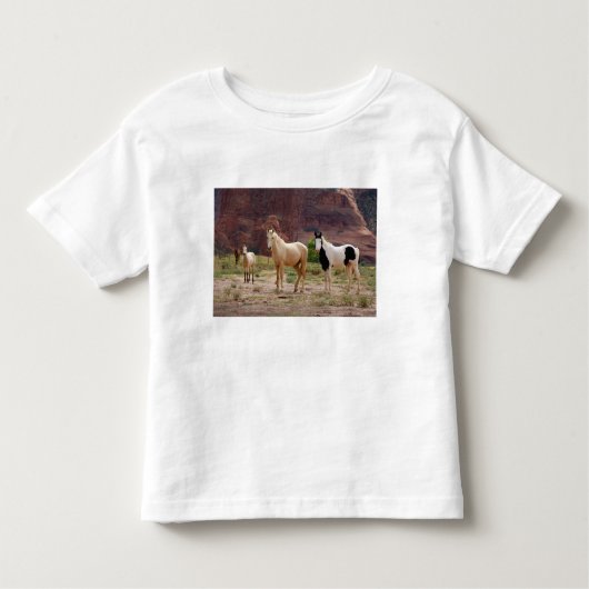 Arizona, Navajo Indian Reservation, Chinle Kinder Shirts (Voorkant)