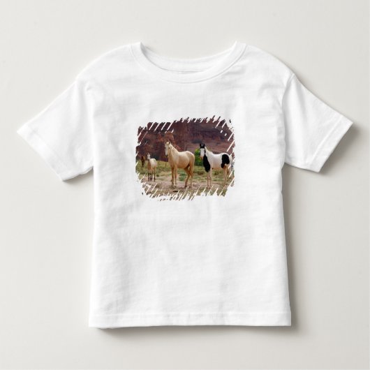 Arizona, Navajo Indian Reservation, Chinle Kinder Shirts (Voorkant)