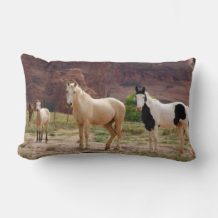 Arizona, Navajo Indian Reservation, Chinle, Kussen