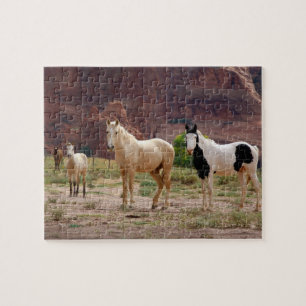 Arizona, Navajo Indian Reservation, Chinle, Legpuzzel