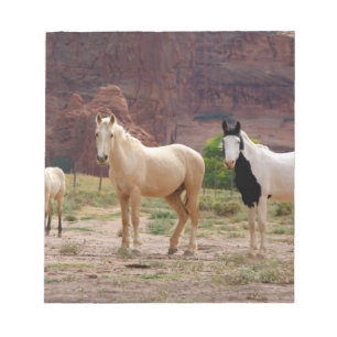 Arizona, Navajo Indian Reservation, Chinle, Notitieblok