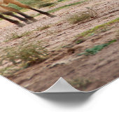 Arizona, Navajo Indian Reservation, Chinle Poster (Hoek)