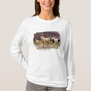 Arizona, Navajo Indian Reservation, Chinle T-shirt