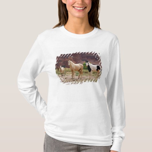 Arizona, Navajo Indian Reservation, Chinle T-shirt (Voorkant)
