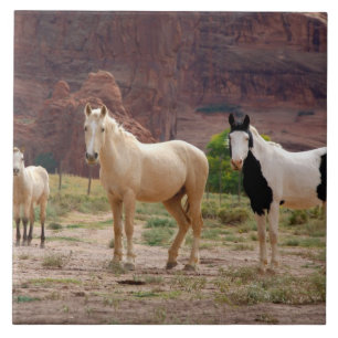 Arizona, Navajo Indian Reservation, Chinle, Tegeltje