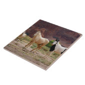 Arizona, Navajo Indian Reservation, Chinle Tegeltje (Zijkant)