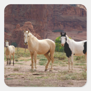 Arizona, Navajo Indian Reservation, Chinle Vierkante Sticker