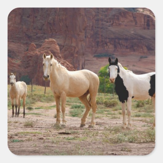 Arizona, Navajo Indian Reservation, Chinle Vierkante Sticker (Voorkant)