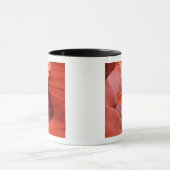 Arizona, Navajo Nation, Lower Antelope Canyon Mok (Midden)