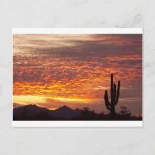 Arizona november zonsopgang met Saguaro Briefkaart