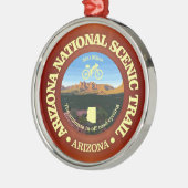 Arizona NST (fietsen c) Metalen Ornament (Links)