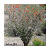 Arizona Ocotillo Tegeltje (Voorkant)