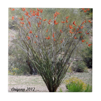 Arizona Ocotillo Tegeltje