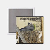 Arizona Outlaws Magneet (Voorkant / Achterkant)