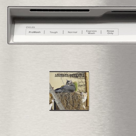 Arizona Outlaws Magneet (Insitu (Vaatwasser))