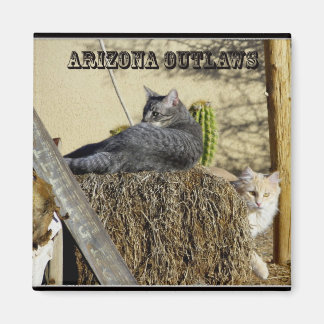 Arizona Outlaws Magneet
