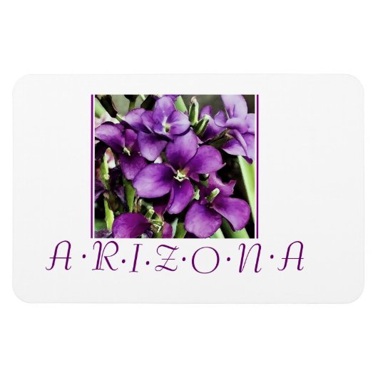 Arizona paarse bloemen magneet (Horizontaal)