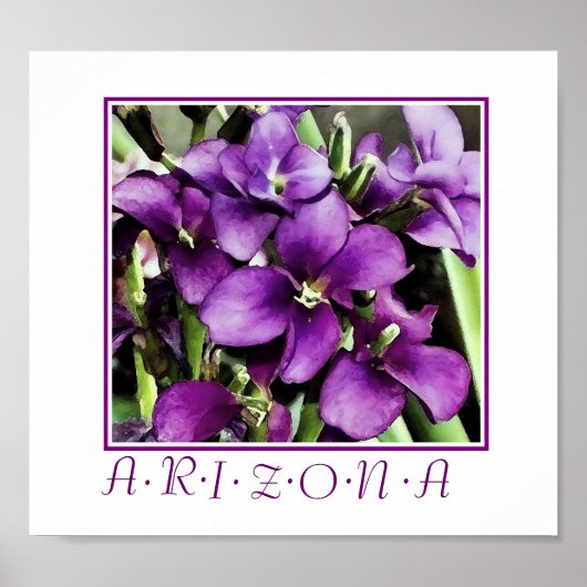 Arizona paarse bloemenprint poster (Voorkant)