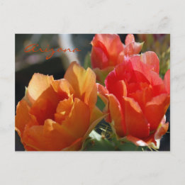 Arizona Postcard Briefkaart