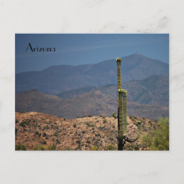 Arizona Postcard Briefkaart