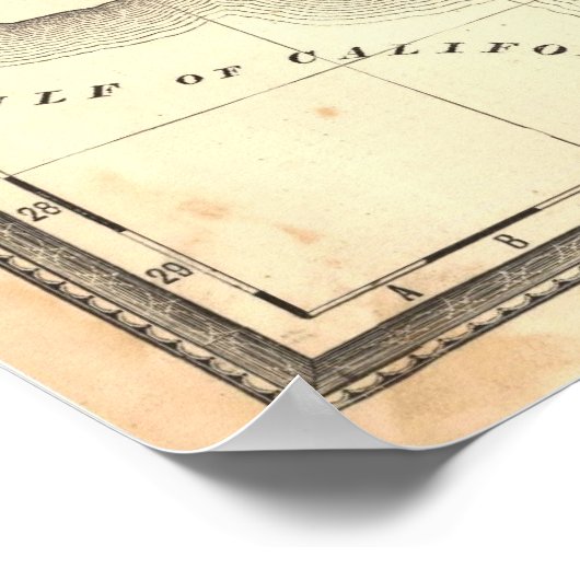 Arizona Poster (Hoek)