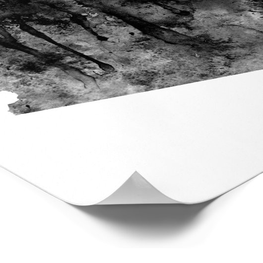 Arizona Poster (Hoek)