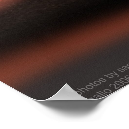 Arizona Raven Poster (Hoek)