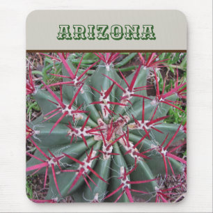 Arizona Red Barrel Cactus Desert Plant Southwest Muismat