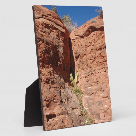 Arizona Red Rocks Landscape Foto Fotoplaat (Zijkant)