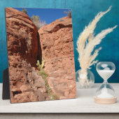 Arizona Red Rocks Landscape Foto Fotoplaat (Zijkant)