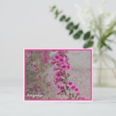 arizona roze Penstemon briefkaart (Staand voorkant)