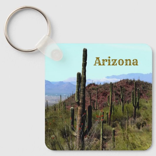 Arizona saguaro berglandschap sleutelhanger (Voorkant)