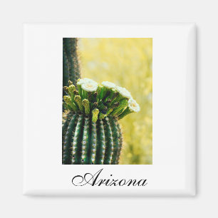 Arizona saguaro blooms magneet