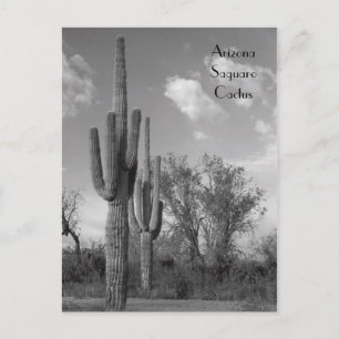 Arizona Saguaro Briefkaart