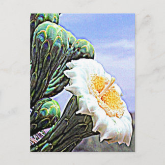 Arizona Saguaro Cactus Briefkaart