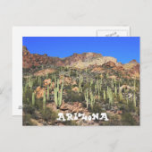 Arizona Saguaro Cactus Briefkaart (Voorkant / Achterkant)